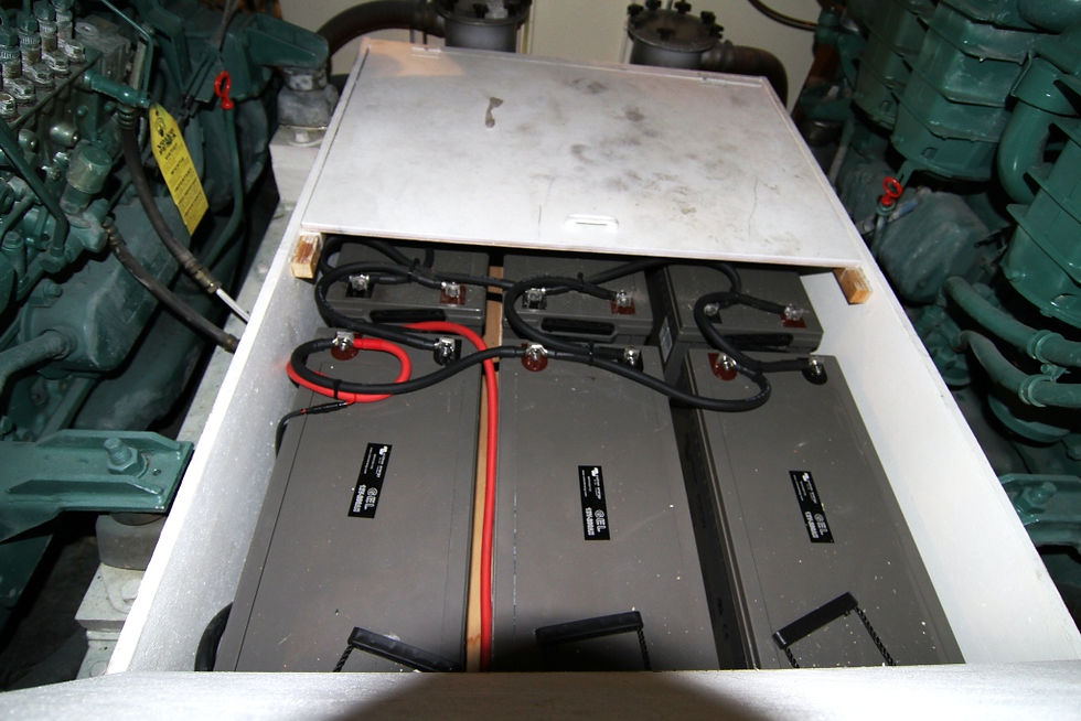 17 Neptunus 145 batteries.JPG