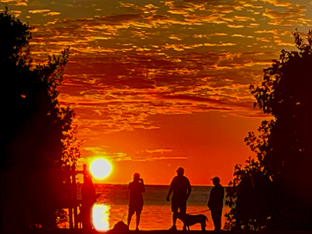 November in the Florida Keys and Sad Wrap-up to the Year