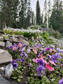 Cascake of Time Gardens