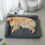 Thumbnail: Orthopedic Dog Bed