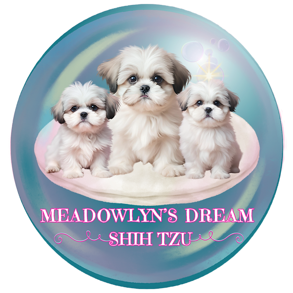 FinalMeadowlyn Dreams Shih Tzu_edited.pn