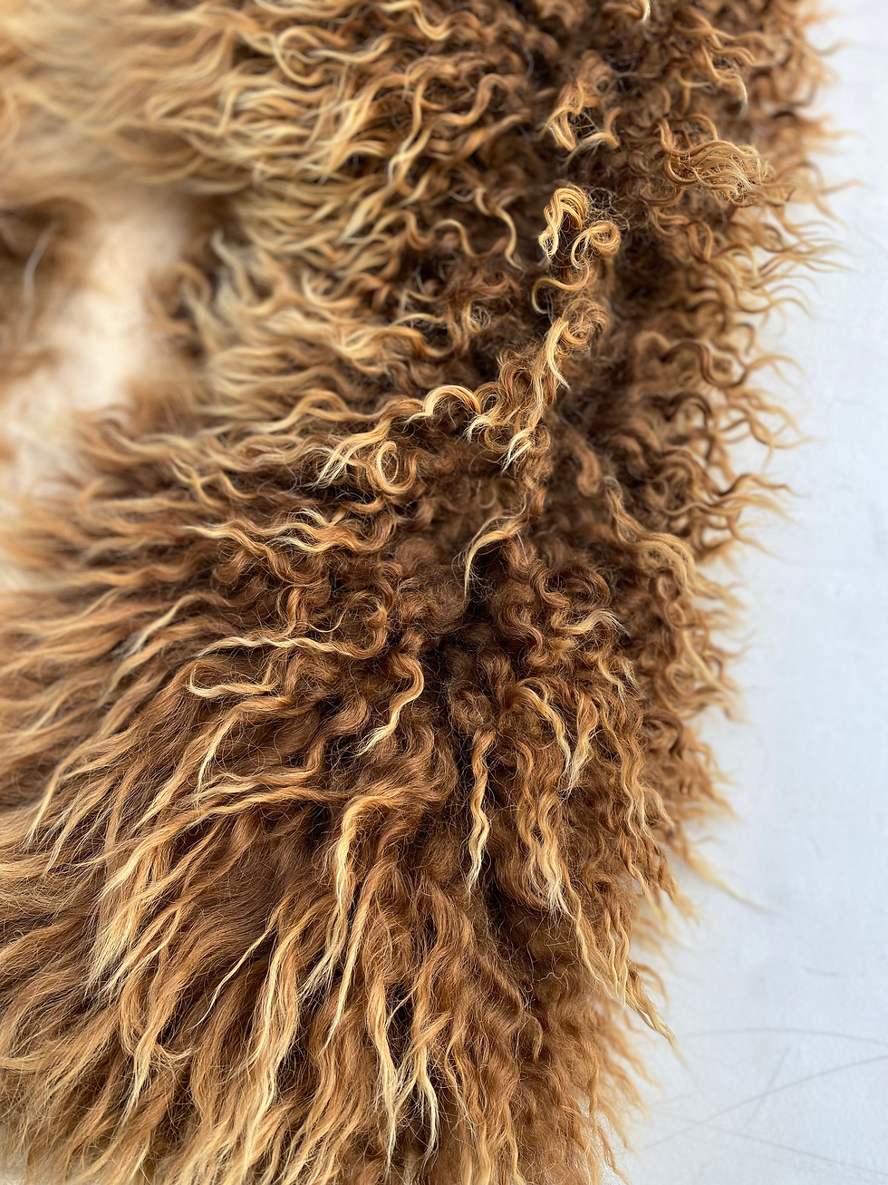 Thumbnail: GOLDILOCKS WILD LEATHER SHEEPSKIN