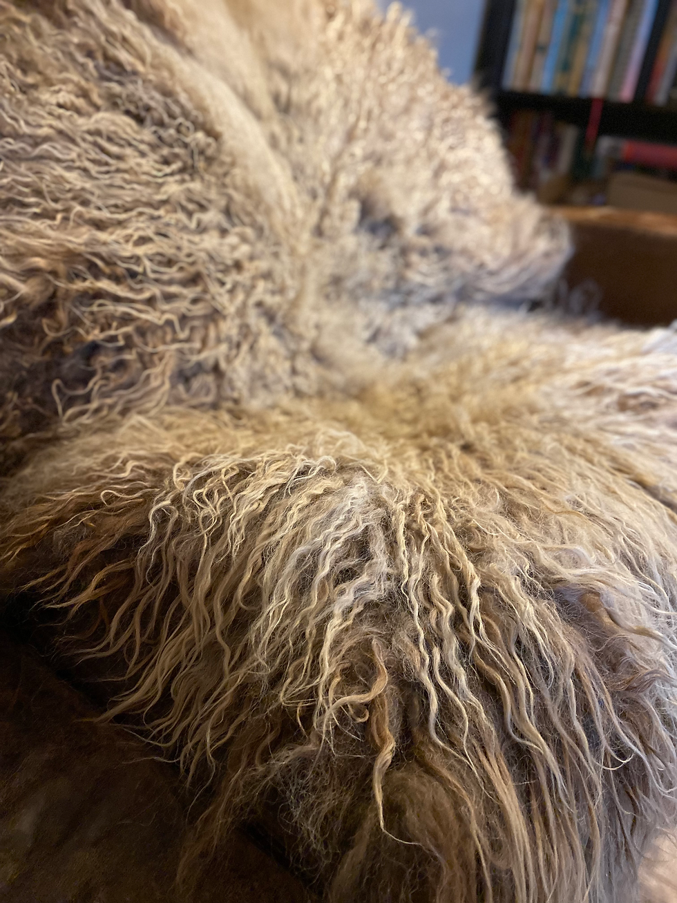 Thumbnail: LUNA - WILD WOOL RUG