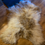 Thumbnail: STORM WILD FELTED WOOL RUG