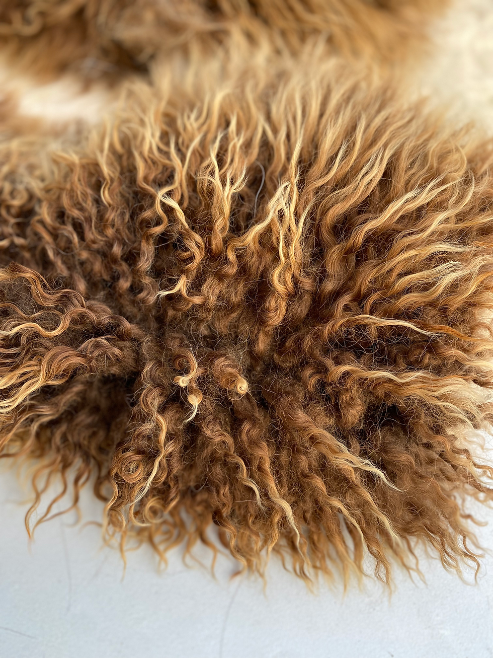 Thumbnail: GOLDILOCKS WILD LEATHER SHEEPSKIN