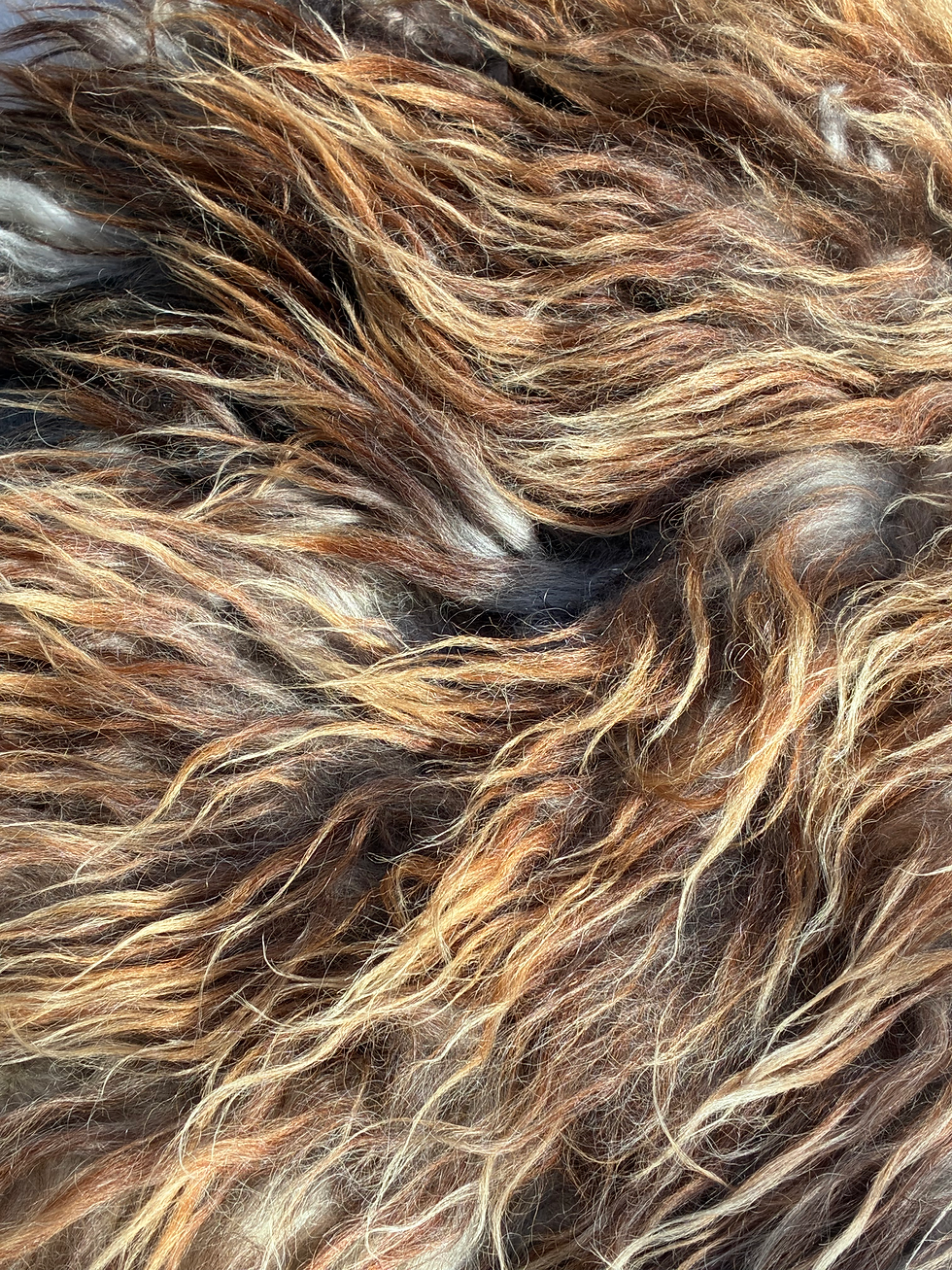 Thumbnail: ASLAN THE KING - WILD WOOL RUG