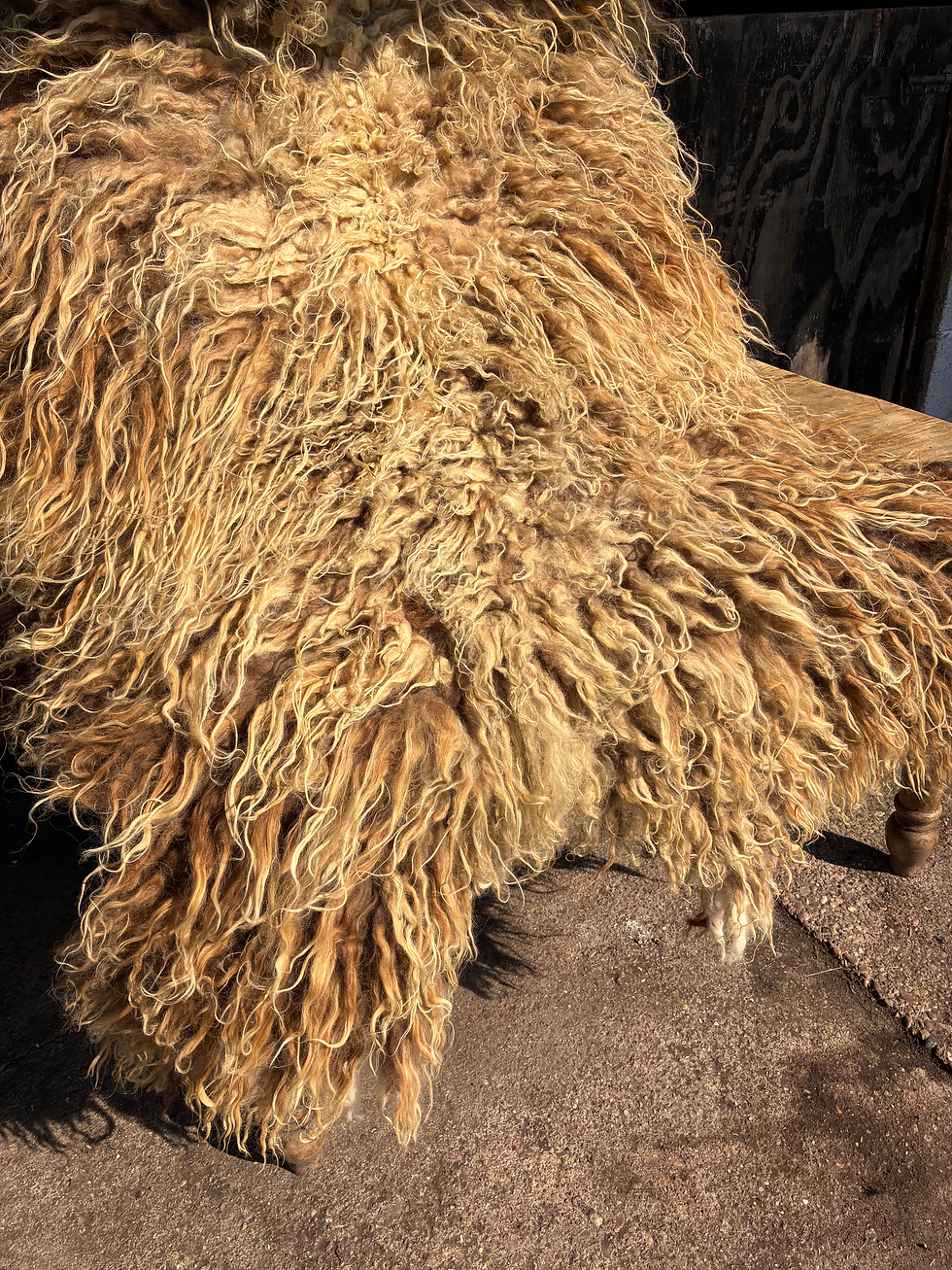 Thumbnail: LUNA WILD WOOL RUG