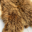 Thumbnail: GOLDILOCKS WILD LEATHER SHEEPSKIN