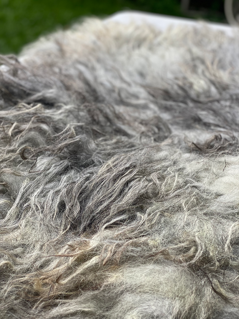 Thumbnail: PISCES WILD FELTED WOOL RUG