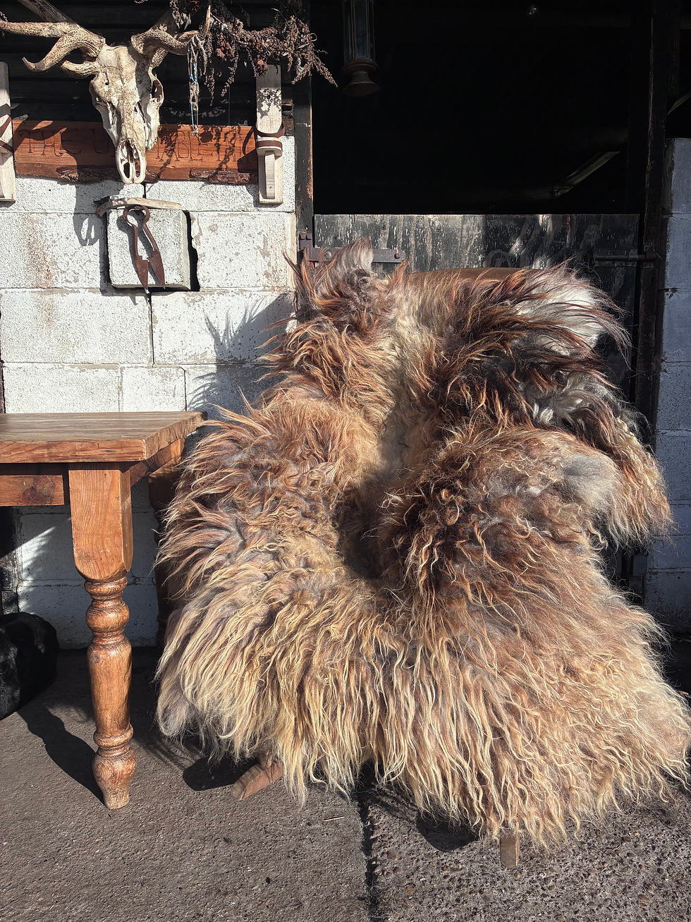 Thumbnail: ASLAN THE KING - WILD WOOL RUG