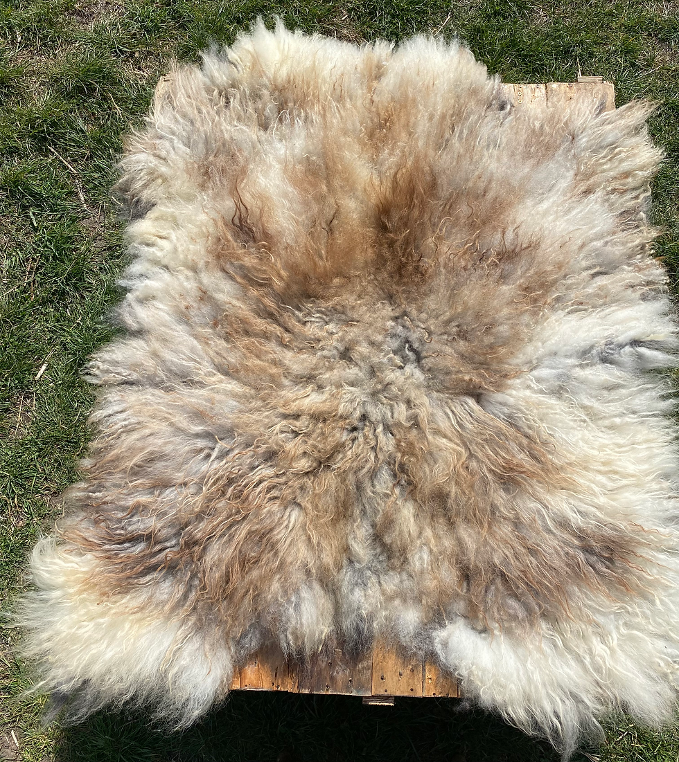 Thumbnail: STAR WILD WOOL RUG