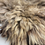 Thumbnail: TERRA WILD FELTED WOOL RUG