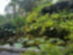 IMG-7168.jpg