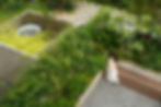 DSC00646.JPG