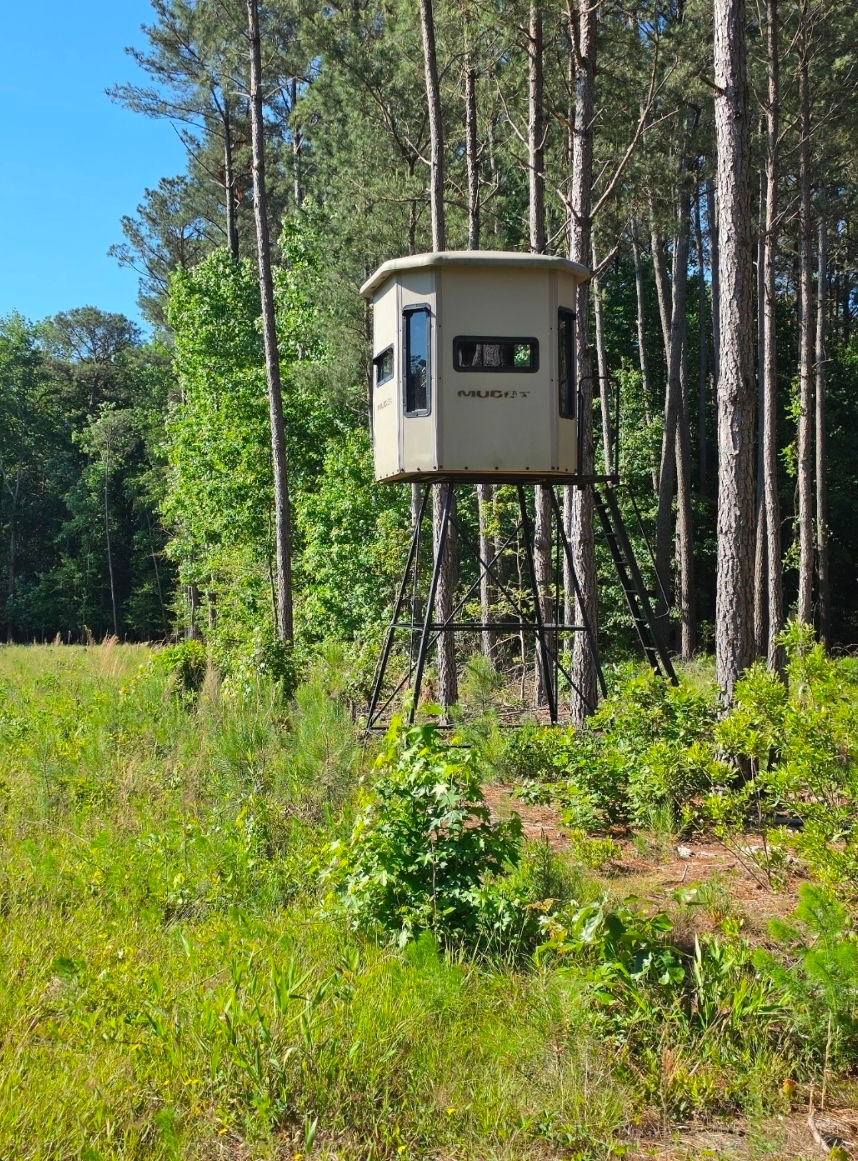 Thumbnail: 300ac QMD Managed Land in Laurel, DE (Sussex Co)