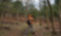 20170117_kr_dmhhunter.jpg