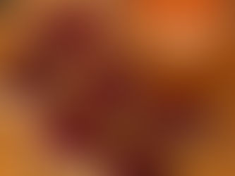 Raw Chocolate Oat Bar Slice