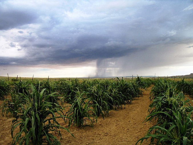 Corn-Blessing1-1024x768.jpg