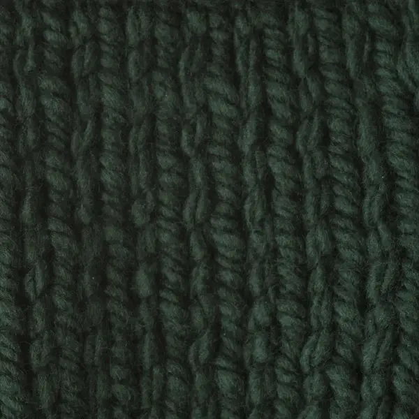 Thumbnail: Dark Green - Bernat Softee Chunky