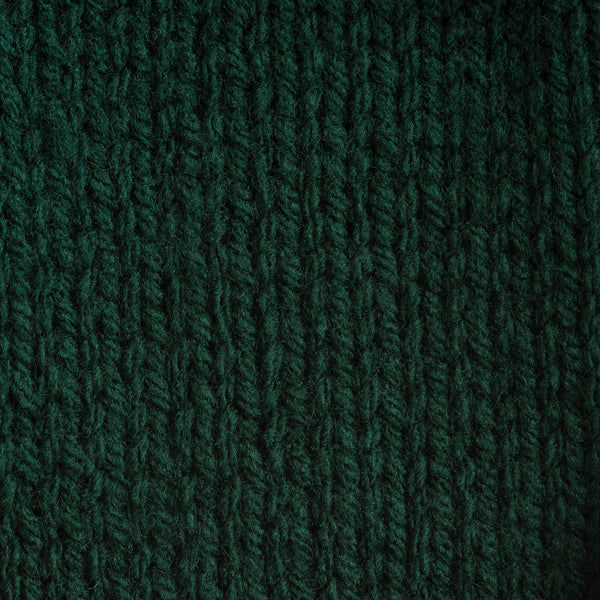 Thumbnail: Deep Sea Green - Bernat Super Value