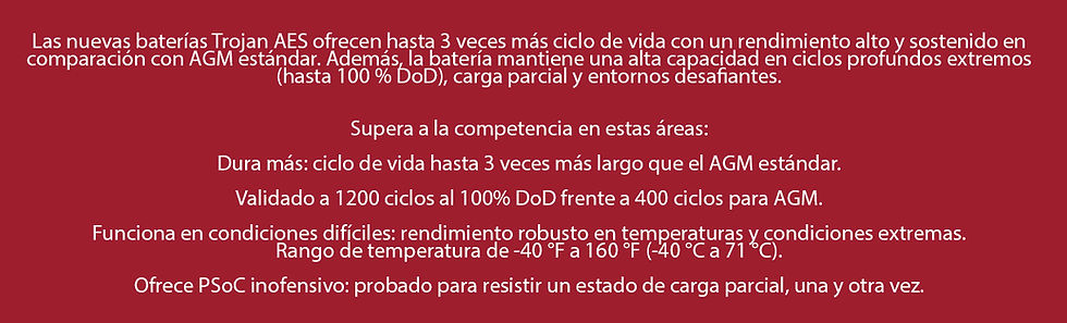 texto trojan.jpg