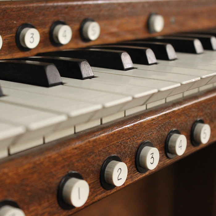organ Closeup