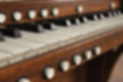 Organo