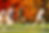 Brady_Bso_action1.png