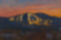 ChatGPT Image Jul 29, 2025 at 10_43_41 AM.png