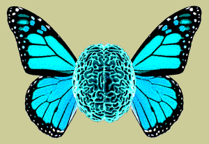 NeuroFly (1).gif