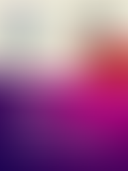 Cine Europa 22: A Viewer's Guide