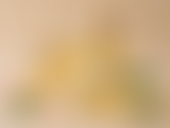 Why Pure Oils Matter: Absolute Oil Manufacturer Explained