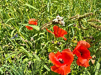 PHOTO-2023-07-24-14-33-29 10.jpg