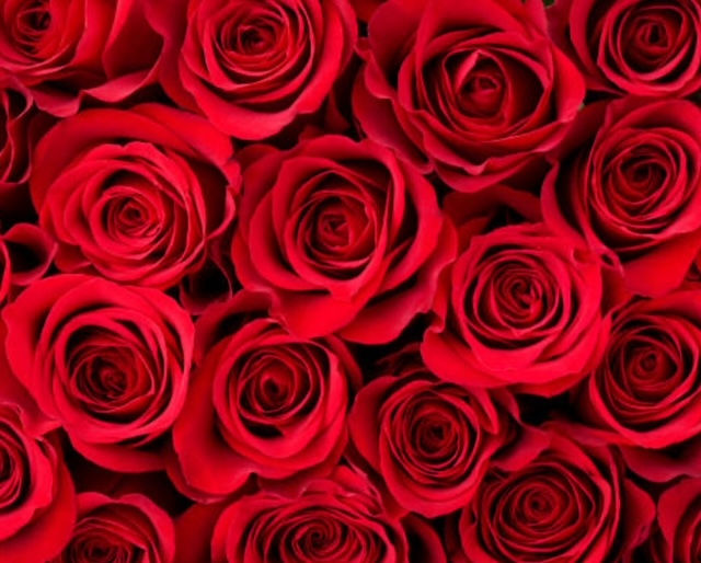 Partner Yoga "Roses & Poses"