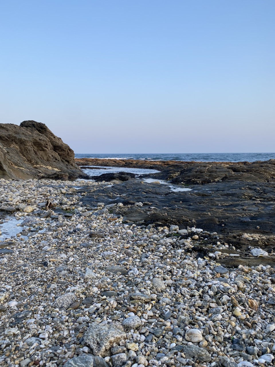 Beach Clean Log - Week 3