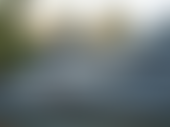 Reliable Residential Roof Solutions for Your Home