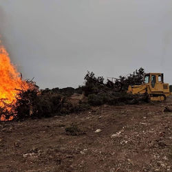 58662311_607994119706159_486879386755137