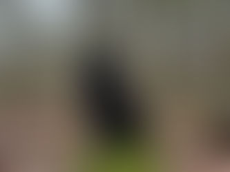 Max – unser Candyboy-Zuckerschatz