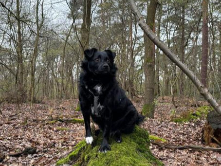 Max – unser Candyboy-Zuckerschatz