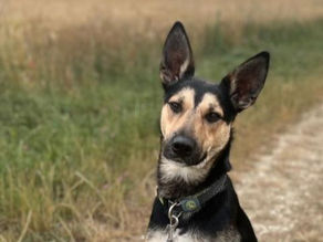 Thabo - unser abenteuerlustiger Entdecker 🙂