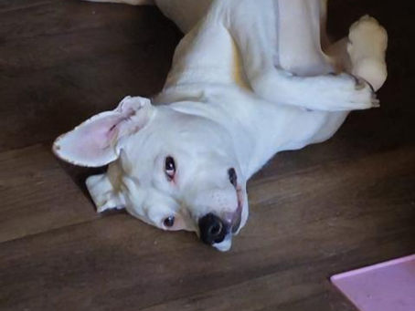 Jenny, das strahlende Sonnenscheinchen