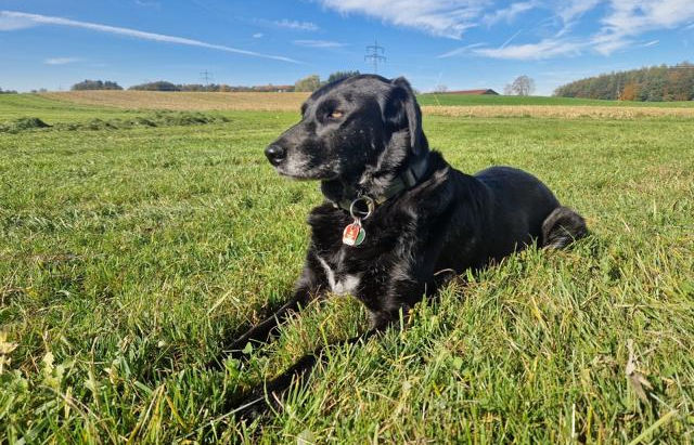 Terra: unser Schokoherz