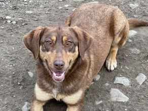 Ambra, unsere Grinsebacke