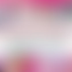 スマホカメラの匠　山本りか先生の活動