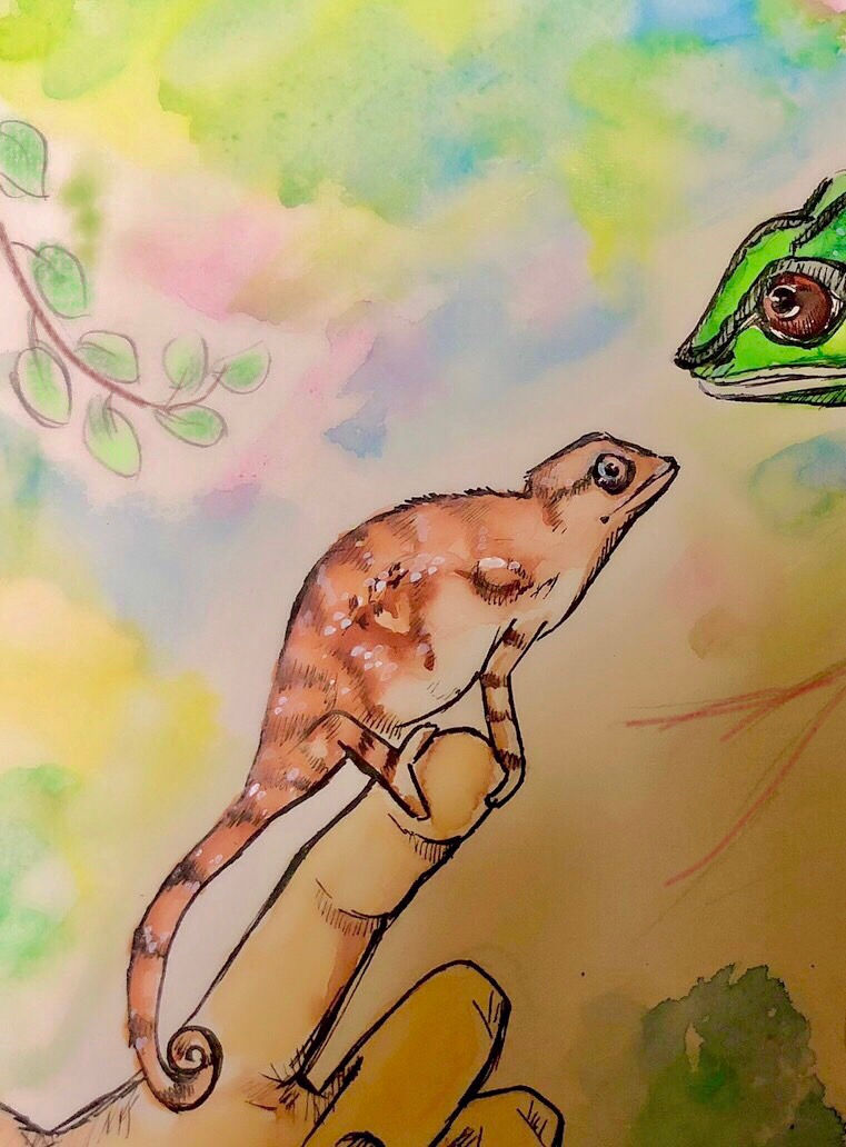 カメレオンの似顔絵を描かせてもらいました!