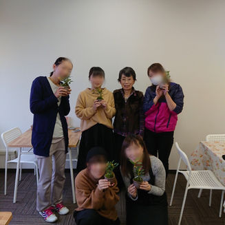 植物の緑色がもたらす心理効果﻿