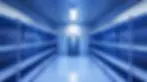 cold room.webp