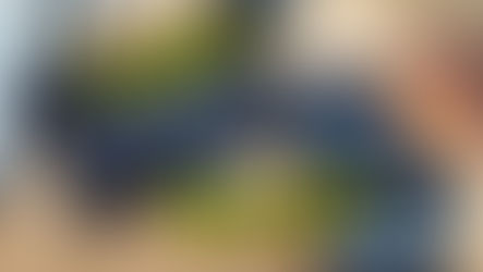 Reviewed: Gyraline G1 - 1-Year Later