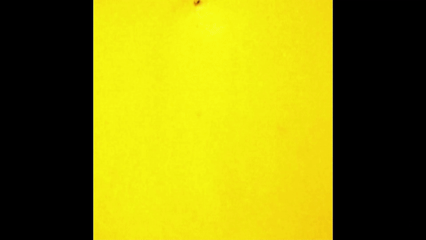 ezgif.com-gif-maker (4).gif