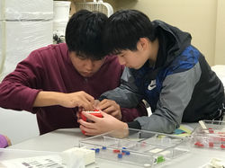 171119_LEGOJobTraining_068_E